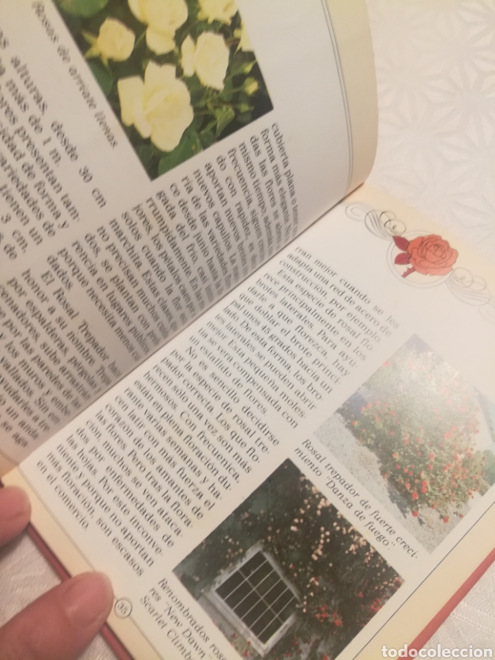 Libros: EL FASCINANTE ENCANTO DE LAS ROSAS - Foto 4