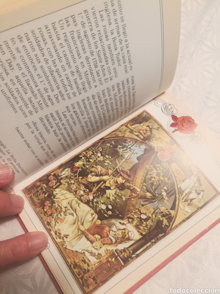 Libros: EL FASCINANTE ENCANTO DE LAS ROSAS - Foto 6