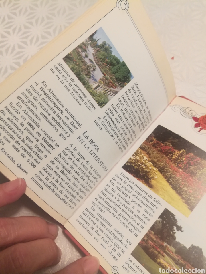 Libros: EL FASCINANTE ENCANTO DE LAS ROSAS - Foto 7