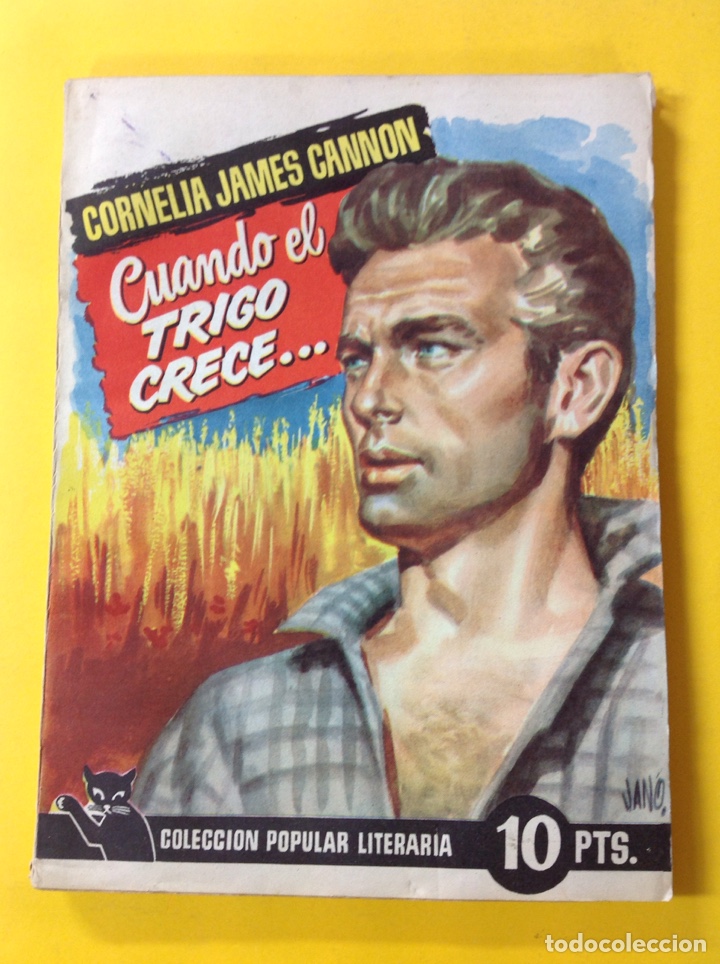 Libros: Cornelia James Cannon - Cuando el trigo crece - Foto 1