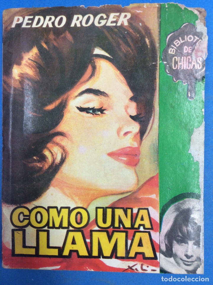 Libros: Como una llama - Foto 1