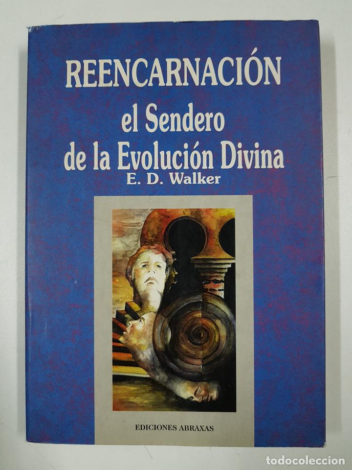 Libros: Reencarnaci&oacute;n el sendero de la evoluci&oacute;n divina / E.D.Walker - Foto 1