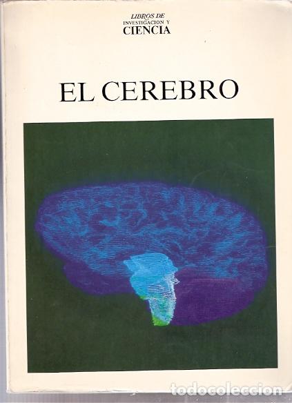 Libros: El cerebro - VV. AA. - Foto 1