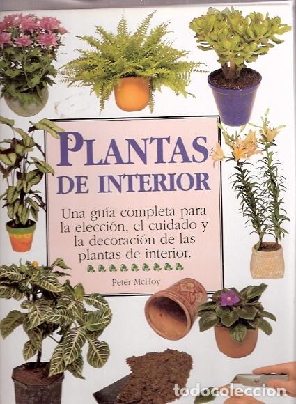 Libros: Plantas de interior - Mc Hoy, Peter - Foto 1