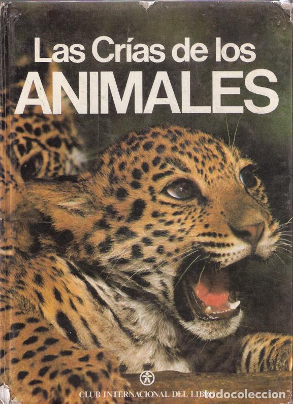 Libros: Las cr&iacute;as de los animales - VV. AA. - Foto 1