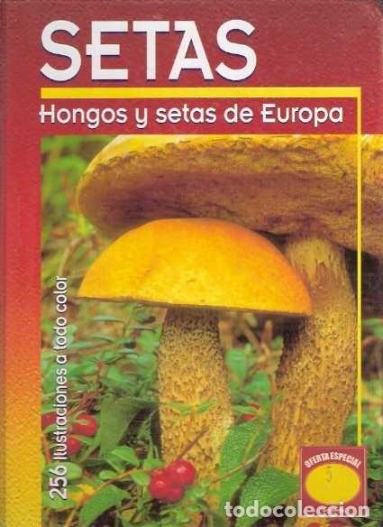 Libros: Setas. Hongos y setas de Europa - Becker, Georges - Foto 1