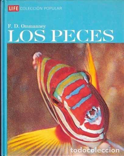 Libros: Los Peces - Ommanney, F. D. - Foto 1
