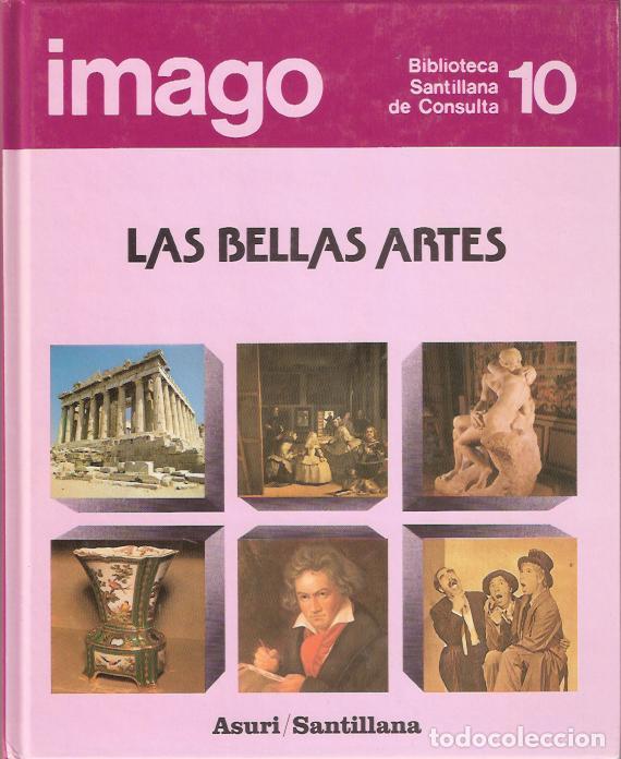 Libros: Las Bellas Artes - Fuentes Gonz&aacute;lez, Isabel - Foto 1