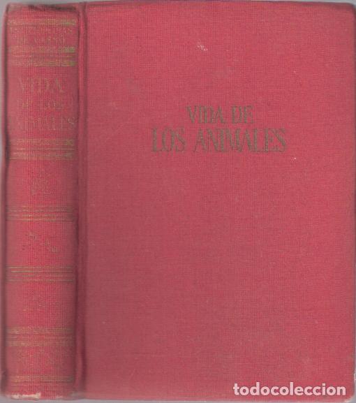 Libros: Vida de los animales - Fust&eacute; Ara, Miguel - Foto 1