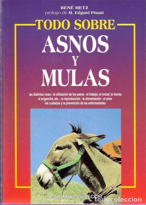 Libros: Todo sobre asnos y mulas - Metz, Ren&eacute; - Foto 1