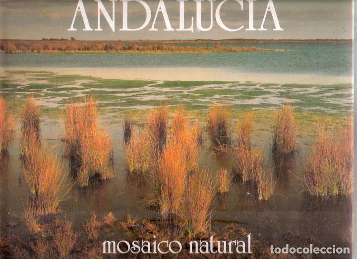 Libros: Andaluc&iacute;a. Mosaico natural - VV. AA. - Foto 1
