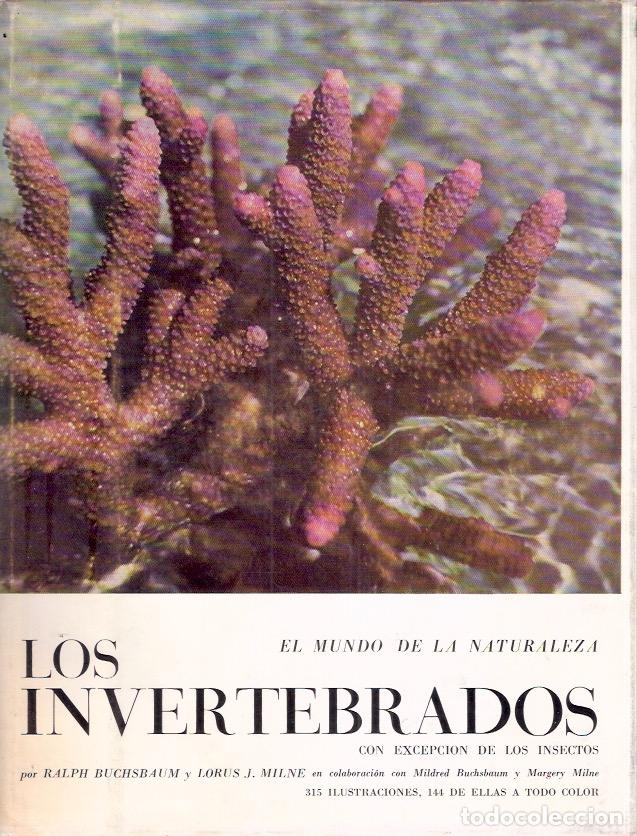 Libros: Los invertebrados, con excepci&oacute;n de los insectos - VV.AA. - Foto 1
