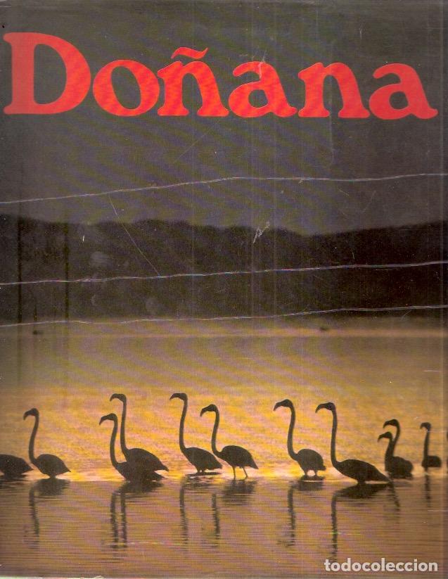 Libros: Do&ntilde;ana - Fern&aacute;ndez, Juan Antonio - Foto 1