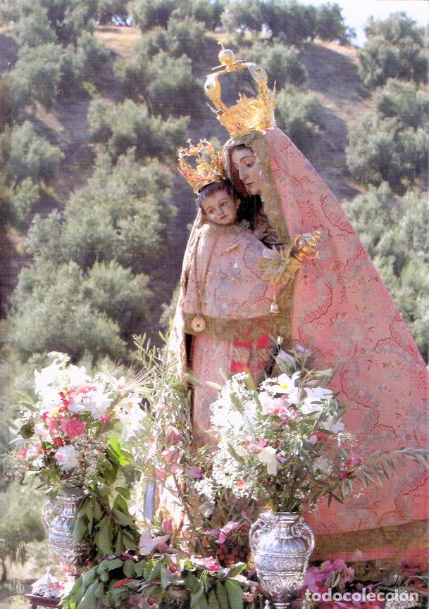 Libros: A la Patrona de Alcal&aacute; la Real - VV.AA.