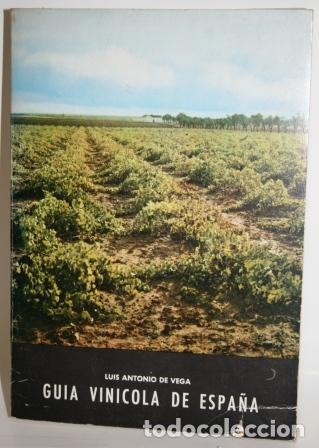 Libros: Gu&iacute;a Vin&iacute;cola de Espa&ntilde;a - VEGA, Luis Antonio de - Foto 1
