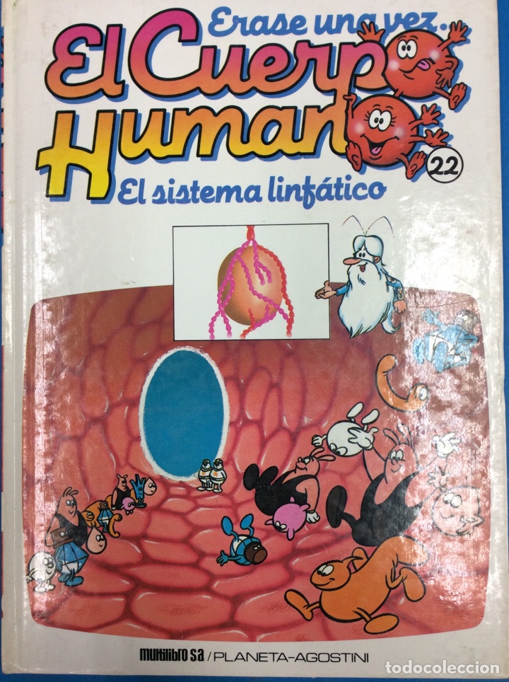 Libros: El sistema linf&aacute;tico 22 - Foto 1
