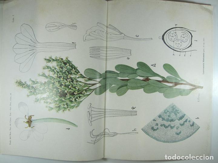 Libros: DATOS BOTANICOS DEL TERRITORIO DE IFNI - CABALLERO, ARTURO - Foto 1