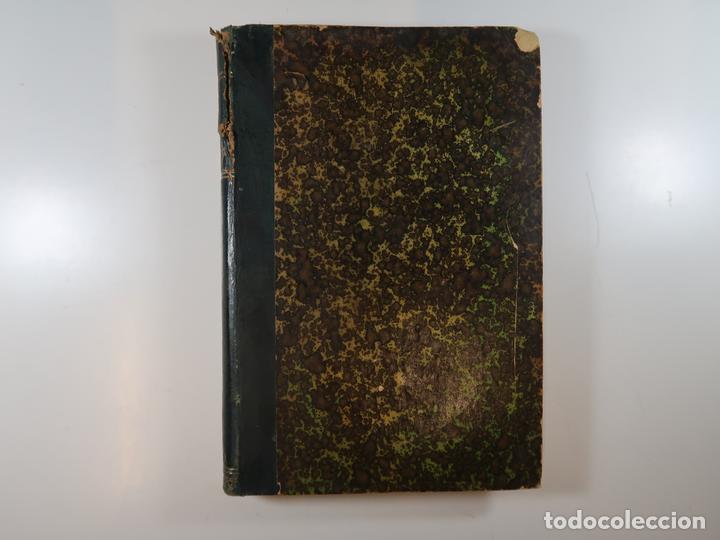 Libros: LA GAZMO&Ntilde;A - ORTEGA FRIAS, RAMON - Foto 1