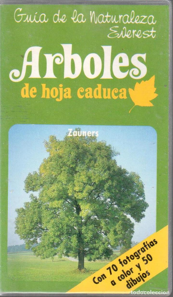 Libros: &Aacute;rboles de hoja caduca - ZAUNERS - Foto 1