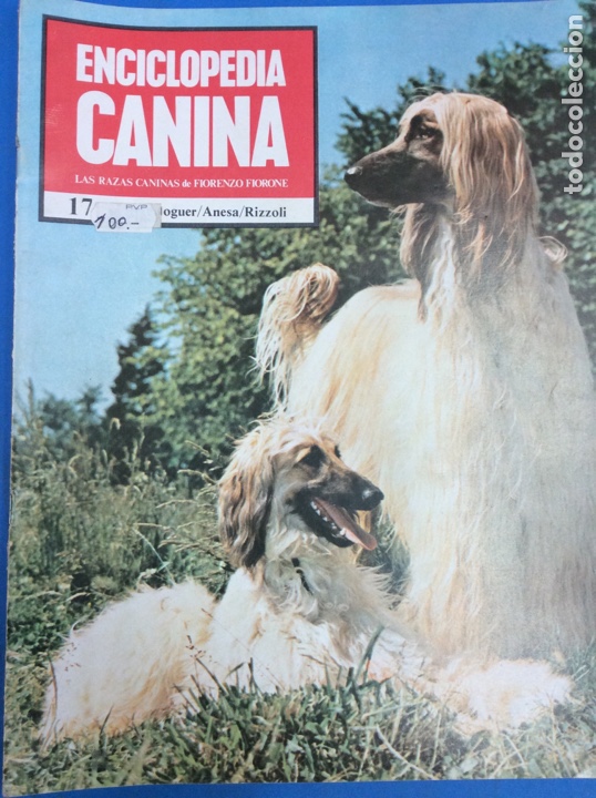 Libros: Enciclopedia canina - Foto 1
