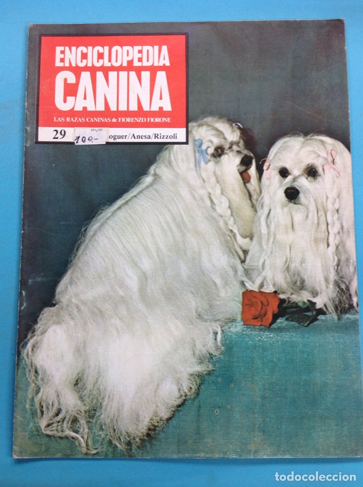 Libri di seconda mano: Enciclopedia canina 29