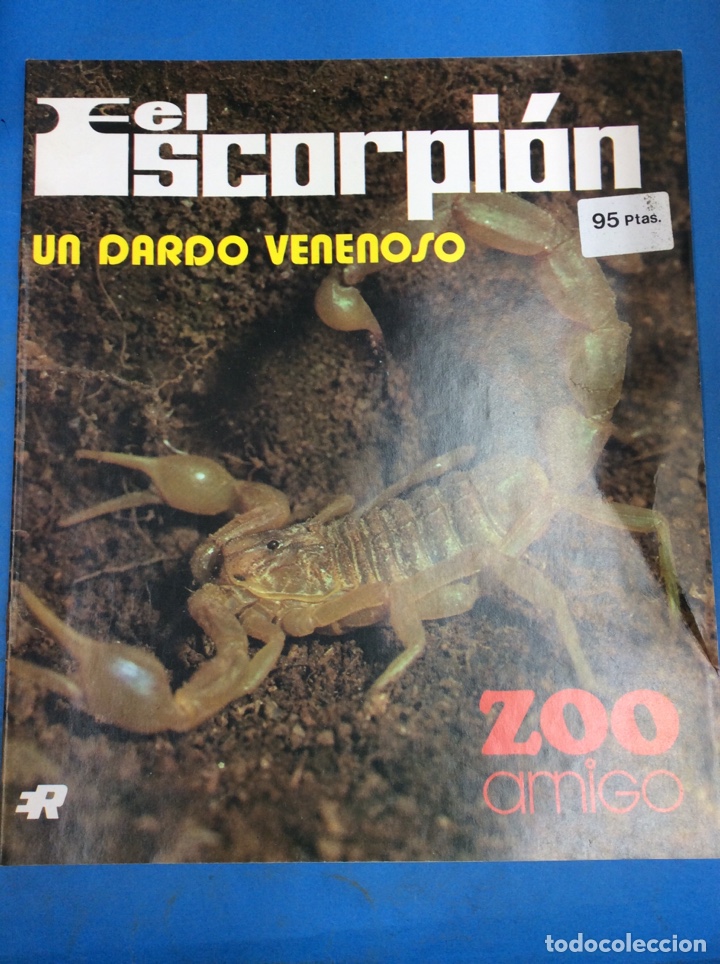 Libros: El escorpi&oacute;n - Foto 1
