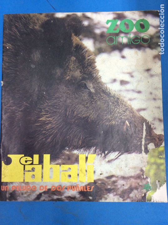 Libros: El jabal&iacute; - Foto 1