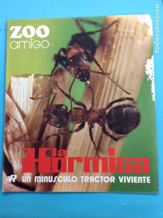 Libros: Zoo amigo - La Hormiga - Foto 1