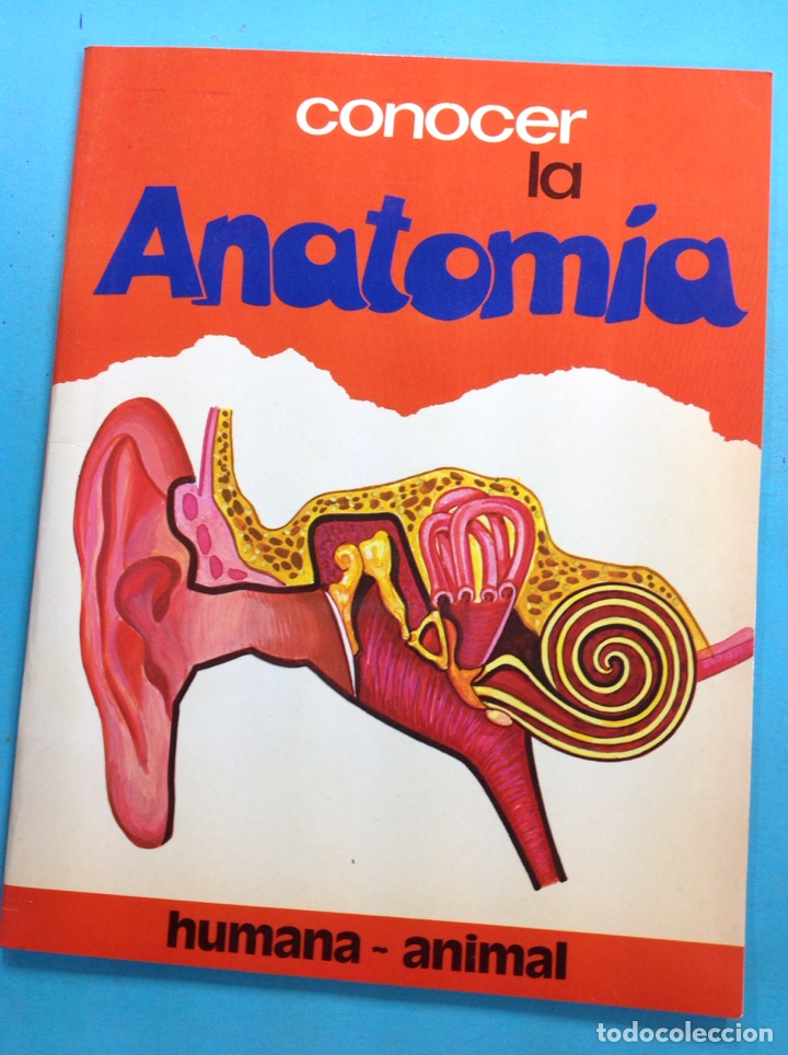 Libros: Conocer la autonom&iacute;a - Foto 1