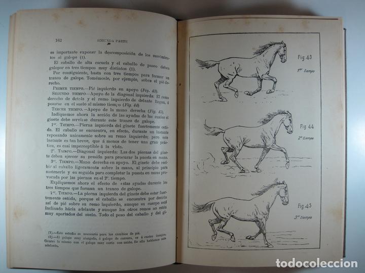 Libros: PRINCIPIOS DE DOMA Y DE EQUITACI&Oacute;N - FILLIS, JAMES - Foto 1