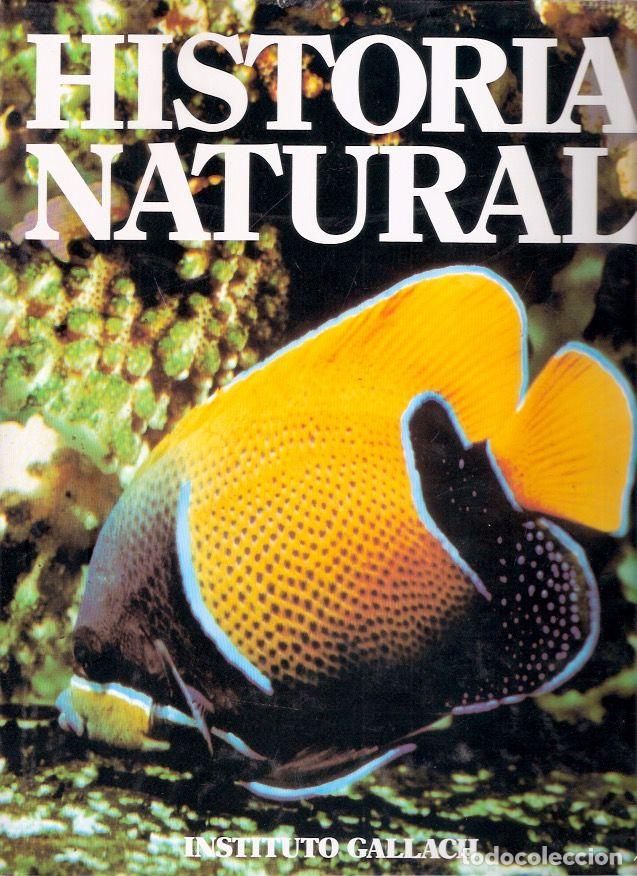 Libros: Historia Natural, 3: Vertebrados - VV. AA. - Foto 1