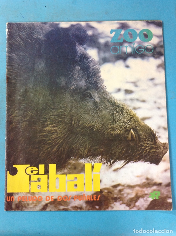 Libros: ZOO AMIGO - TOMO II, n12 - Foto 1
