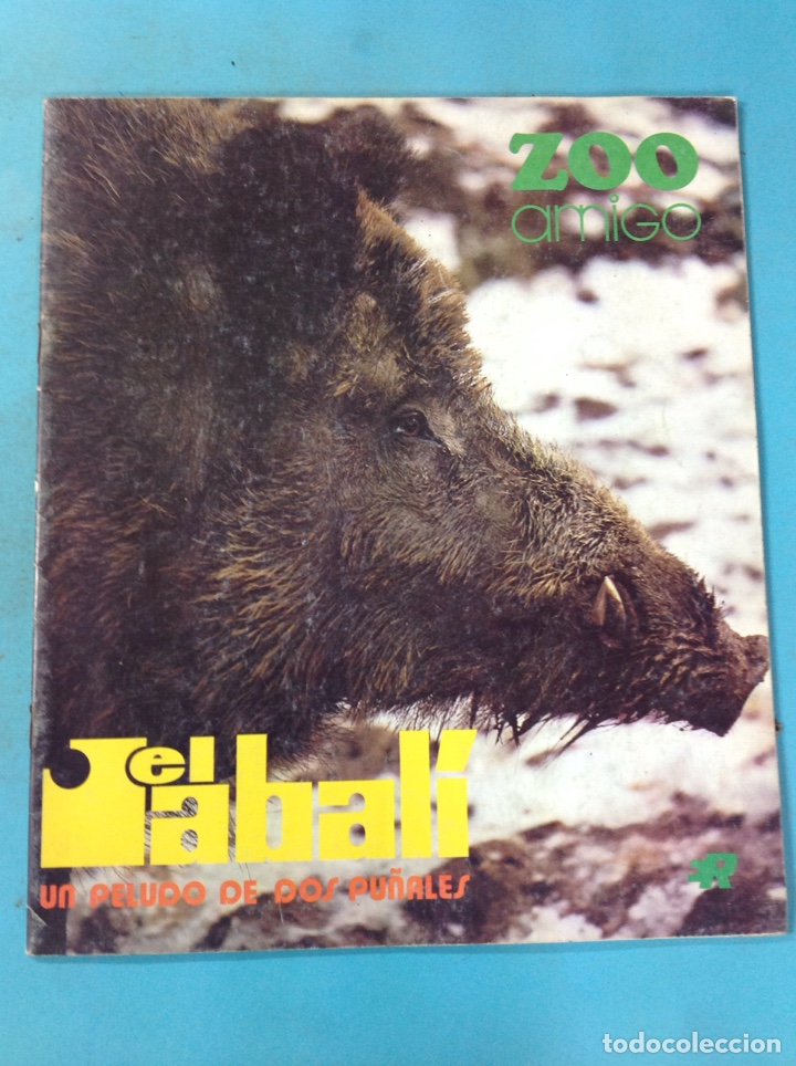 Libros: ZOO AMIGO - TOMO II, n12 - Foto 1