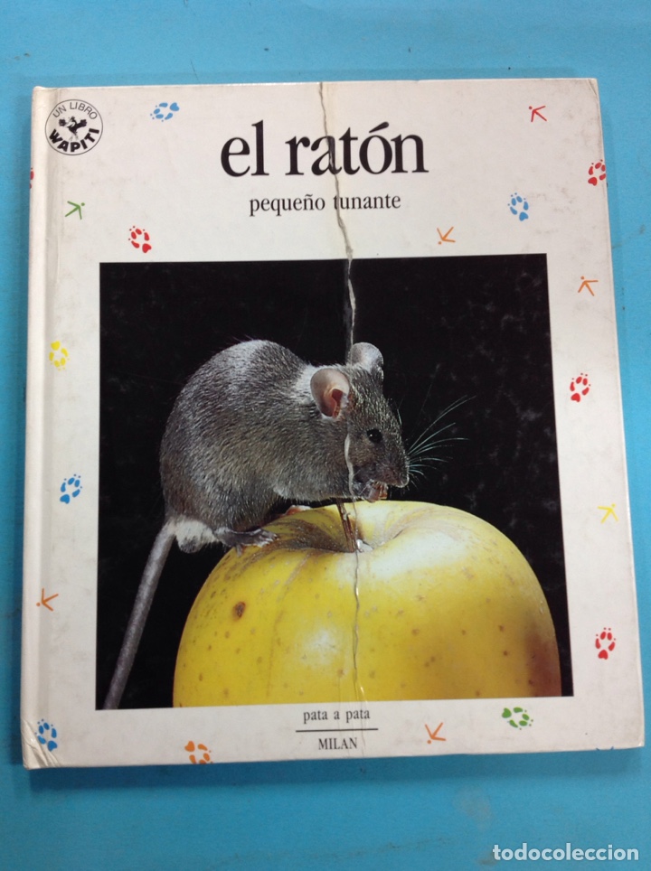 Libros: El rat&oacute;n, peque&ntilde;o tunante - Foto 1