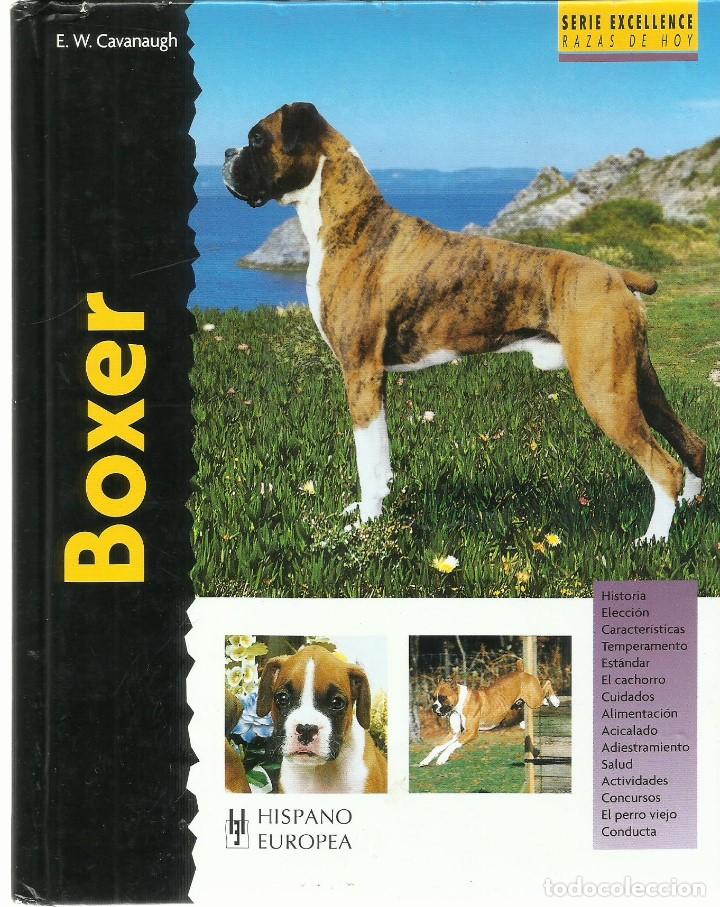 Libros: Boxer. (Edward W. Cavanaugh). Editorial  Hispano Europea.  2000 - Foto 1
