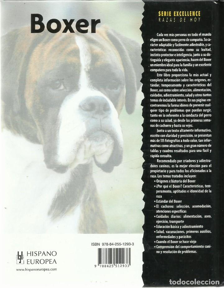 Libros: Boxer. (Edward W. Cavanaugh). Editorial  Hispano Europea.  2000 - Foto 2