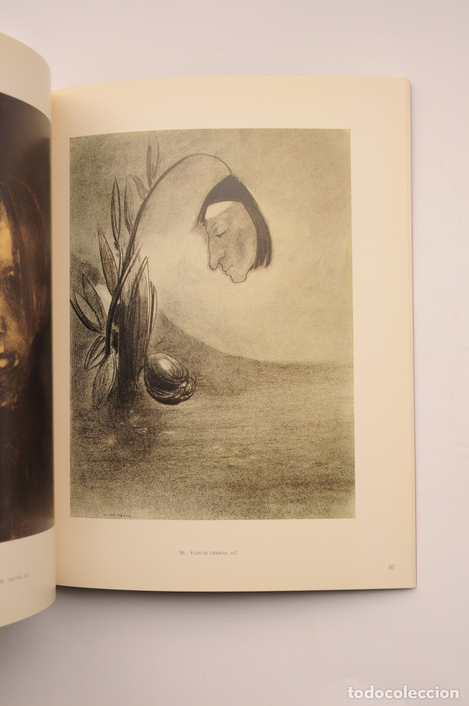 Libros: Odilon Redon. Colecci&oacute;n Ian Woodner - REDON, Odilon - Foto 3