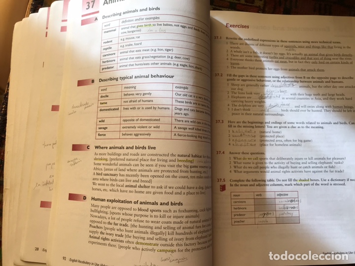Libros: English vocabulary in use. Advanced. Michael McCarthy - Foto 6