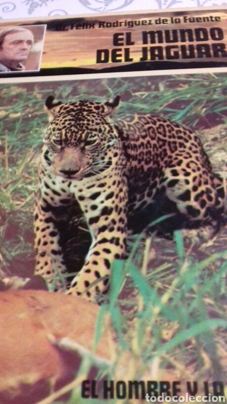 Libros: EL MUNDO DEL JAGUAR EL HOMBRE Y LA TIERRA