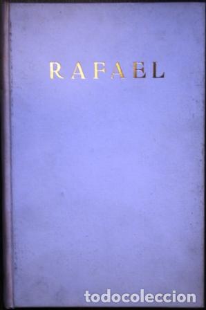 Libros: Rafael o el poder del esp&iacute;ritu - BERENCE, Fred - Foto 1