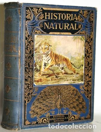 Libros: Historia Natural Popular - AREVALO, Celso - Foto 1