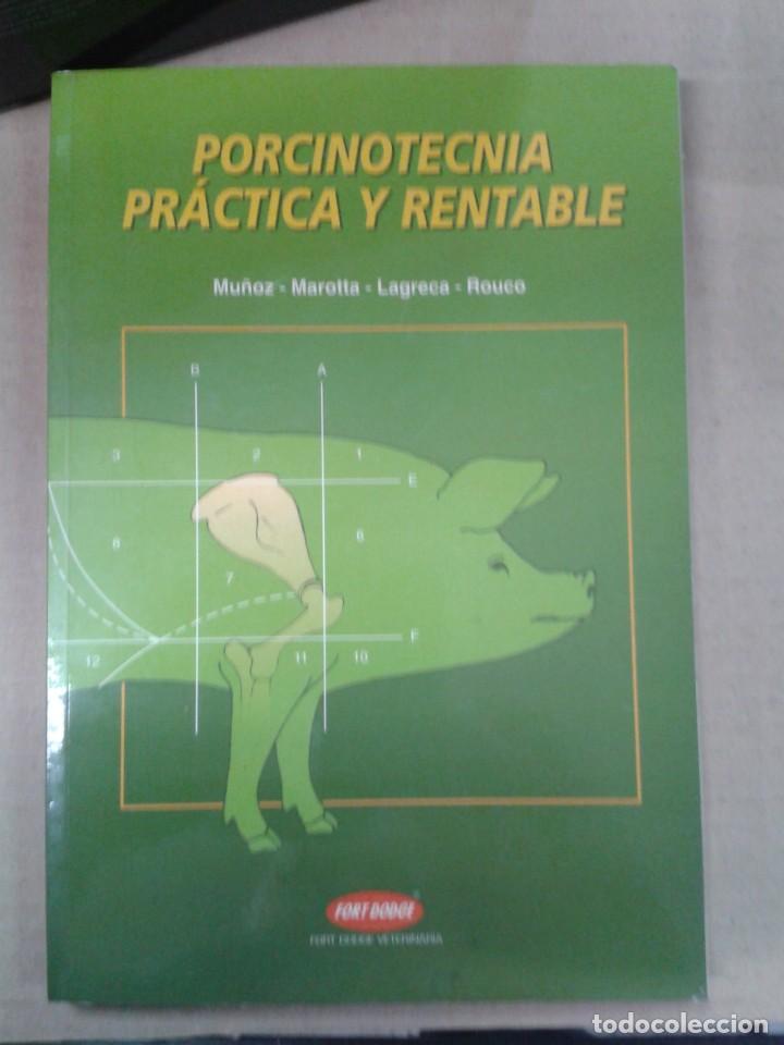 Libros: PORCINOT&Eacute;CNIA. PR&Aacute;CTICA Y RENTABLE - VARIOS - Foto 1