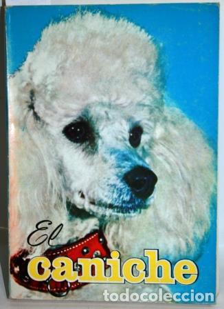 Libros: EL CANICHE - TOGAGNI, Hector - Foto 1