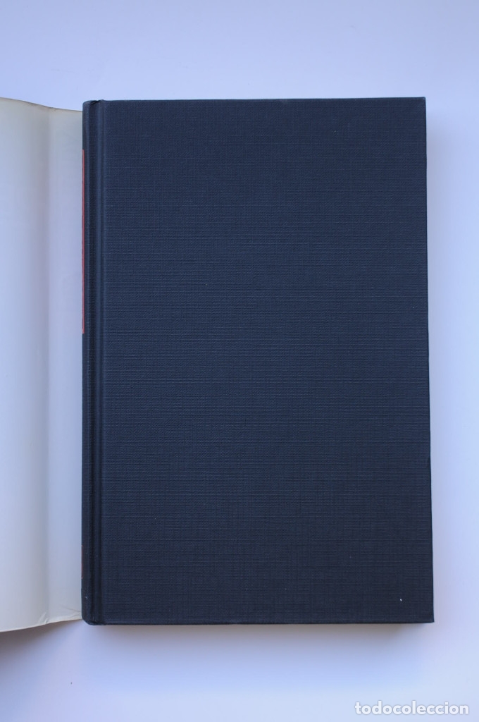 Libros: Peque&ntilde;o Buda - McGILL, Gordon - Foto 2