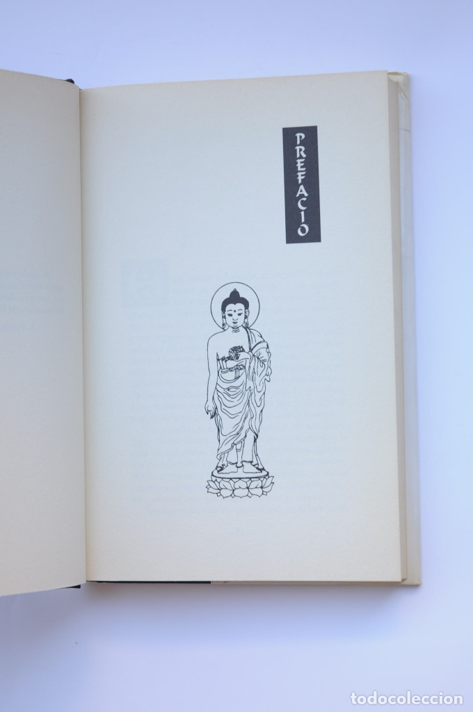 Libros: Peque&ntilde;o Buda - McGILL, Gordon - Foto 4