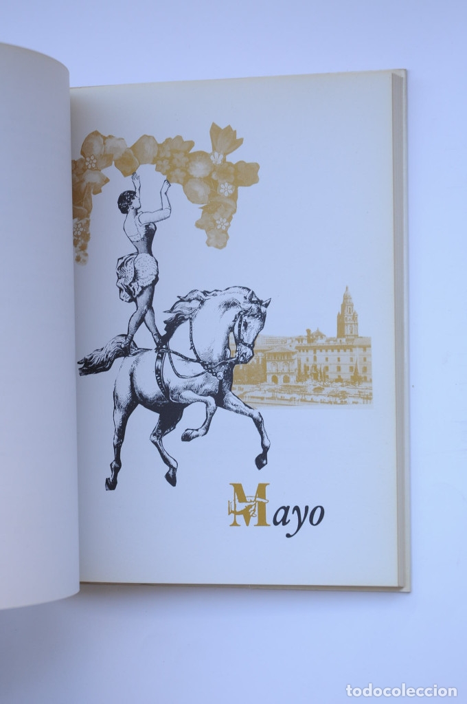 Libros: Libro de las cuatro estaciones - S&Aacute;EZ, Asensio - Foto 4