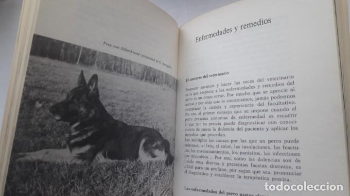 Libros: EL PERRO PASTOR ALEM&Aacute;N. (Florencio Fiorone) - Foto 2