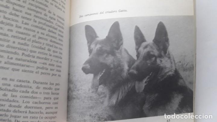 Libros: EL PERRO PASTOR ALEM&Aacute;N. (Florencio Fiorone) - Foto 3
