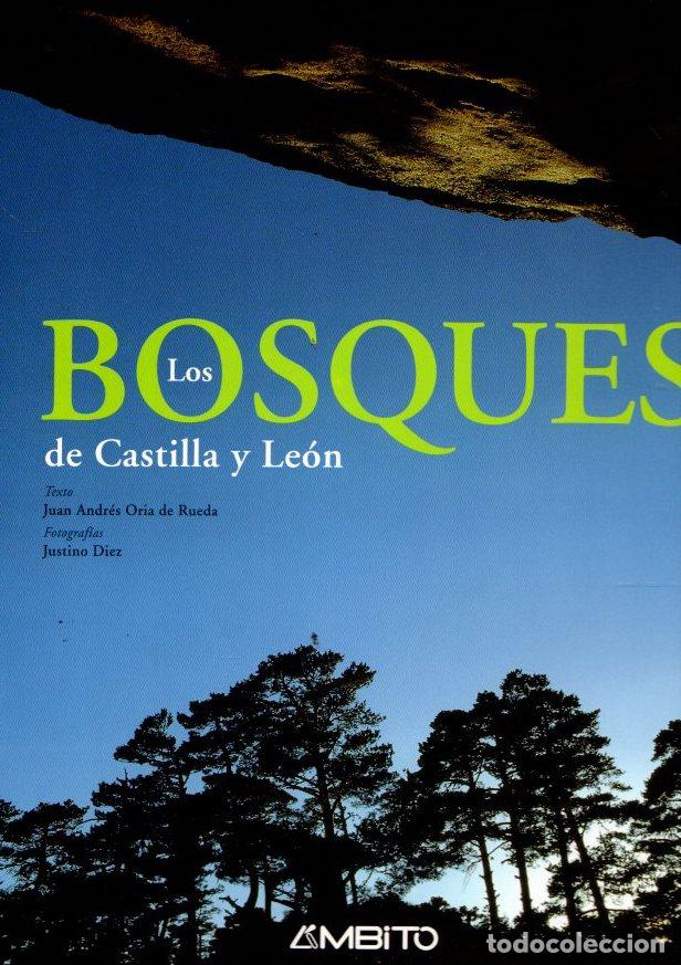 Libros: Los Bosques de Castilla y Le&oacute;n - NO CONSTA AUTOR - Foto 1