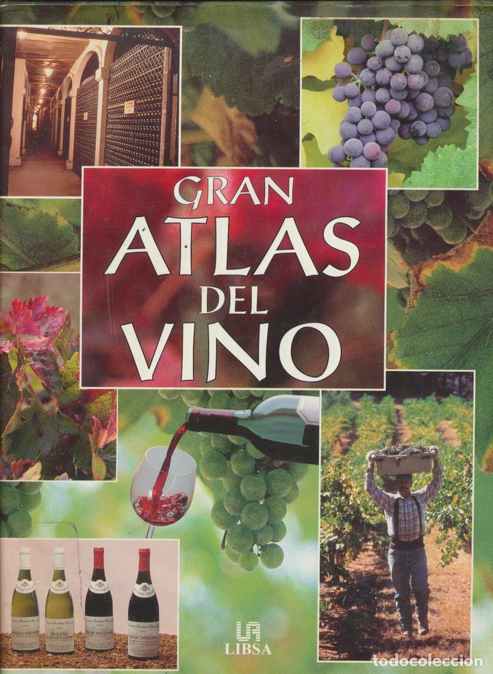 Libros: Gran Atlas del Vino. Concha Baeza. Libsa 2000 - Foto 1